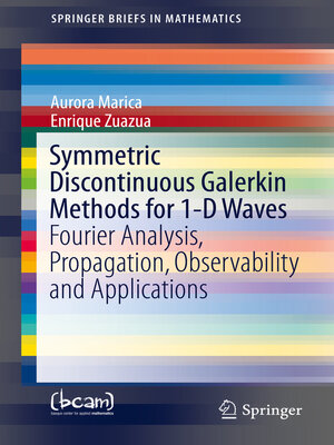 cover image of Symmetric Discontinuous Galerkin Methods for 1-D Waves